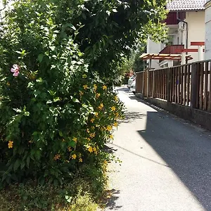 Sunflower , Lubiana Slovenia